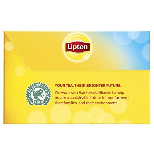 Lipton Lipton Unsweetened Iced Tea Bags, Family Size Zero Calories, 48 Total Bags