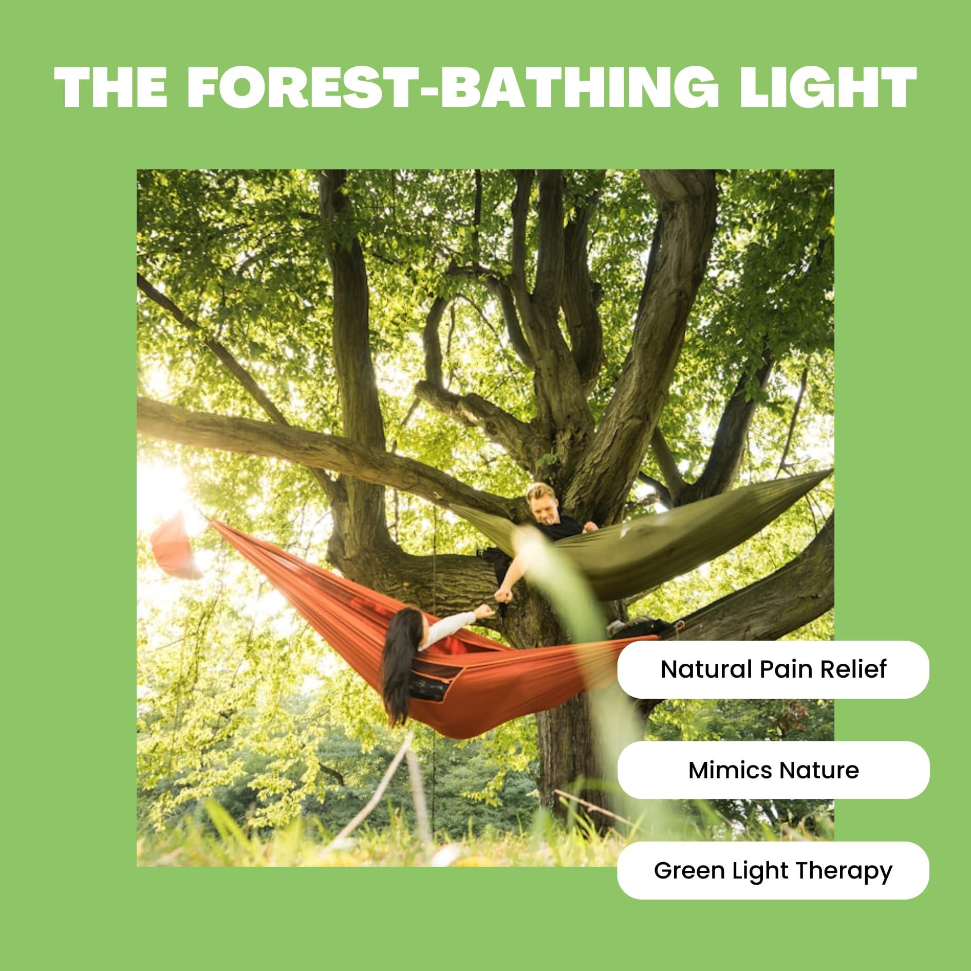 Norb NorbRELIEF Leaf - Soft Green Forest Bathing LED Light Bulb for Meditation, Relaxation, Migraine, Pain Relief and Calm - A19 Standard Base - Patent Pending Non-Drug Pain Relief. Green Light Therapy.