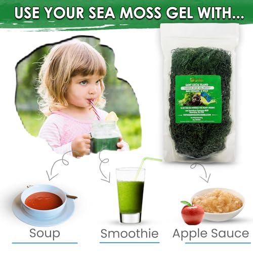 BUIE HOLISTIC HERBS Green Irish Sea Moss, 8 Oz | Dr. Sebi Inspired | Organic Green Sea Moss | Make 120+ oz Sea Moss Gel | Sun-Dried Sea Moss from Coast of St. Lucia