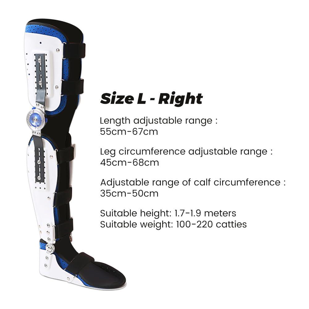 GARCAN Knee Joint Fixed Brace Full Leg Brace Adjustable Knee Support Immobilizer Breathable Thigh Knee Ankle Foot Supports Orthosis Soft and Breathable Helps to Improve Balance Leg Stre,Right,L