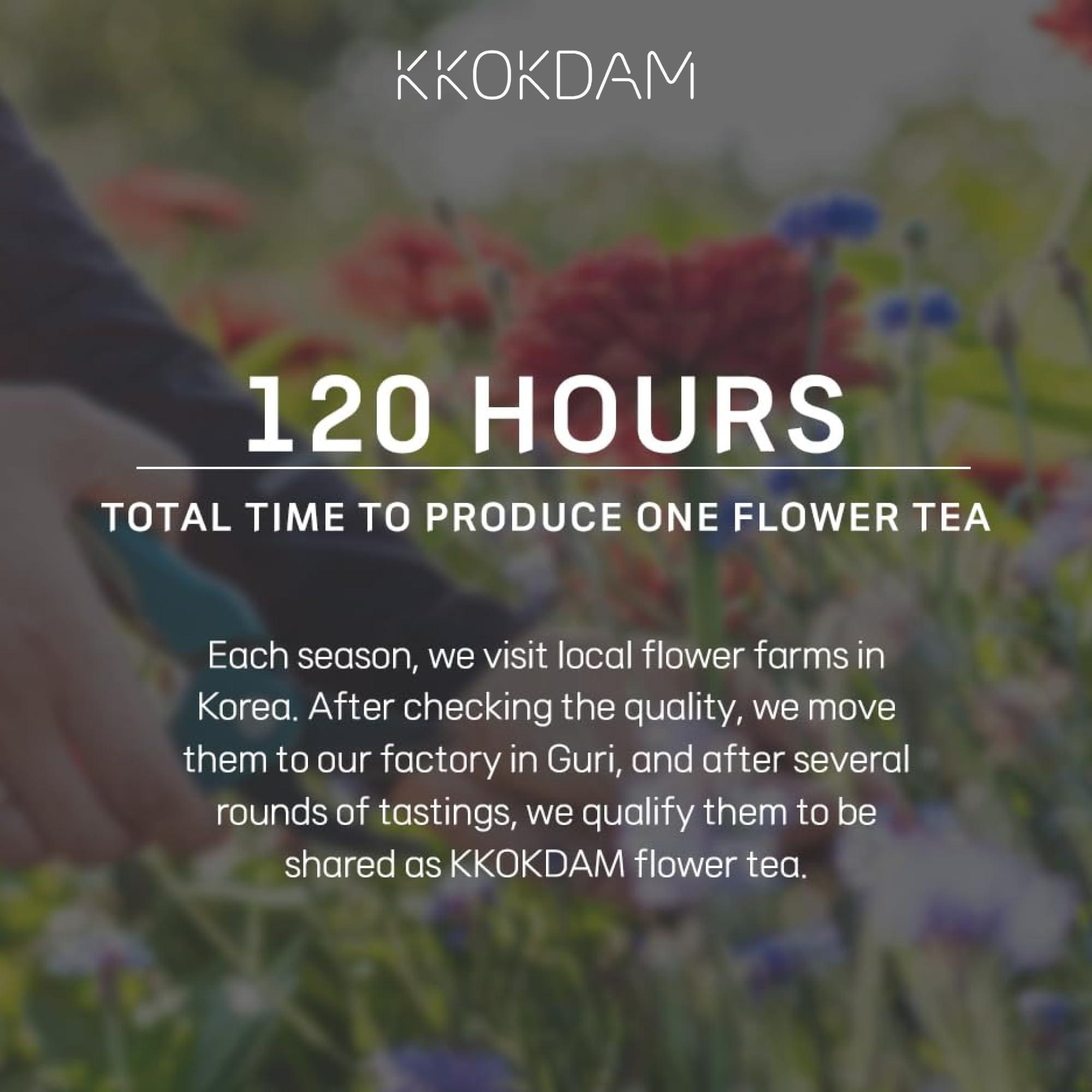 KKOKDAM KKOKDAM Kombucha Tea 15 Packs - Lemon & Chrysanthemum Korean Tea - Kombucha Drinks Probiotic Support, Low Calorie, Sugar Free Kombucha Pack - 15 Kombucha Drink