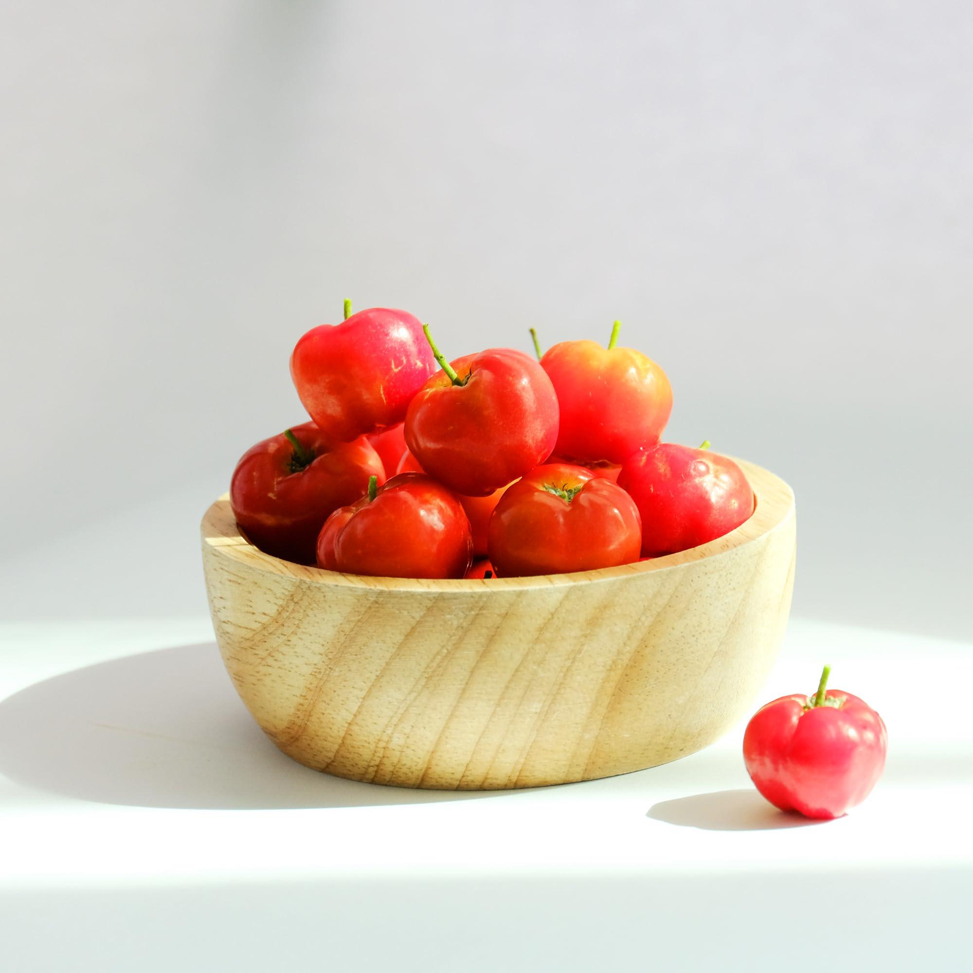 PURE ORIGINAL INGREDIENTS Pure Original Ingredients Acerola Cherry Powder 1lb Non-GMO, Gluten Free, Eco-Friendly Packaging