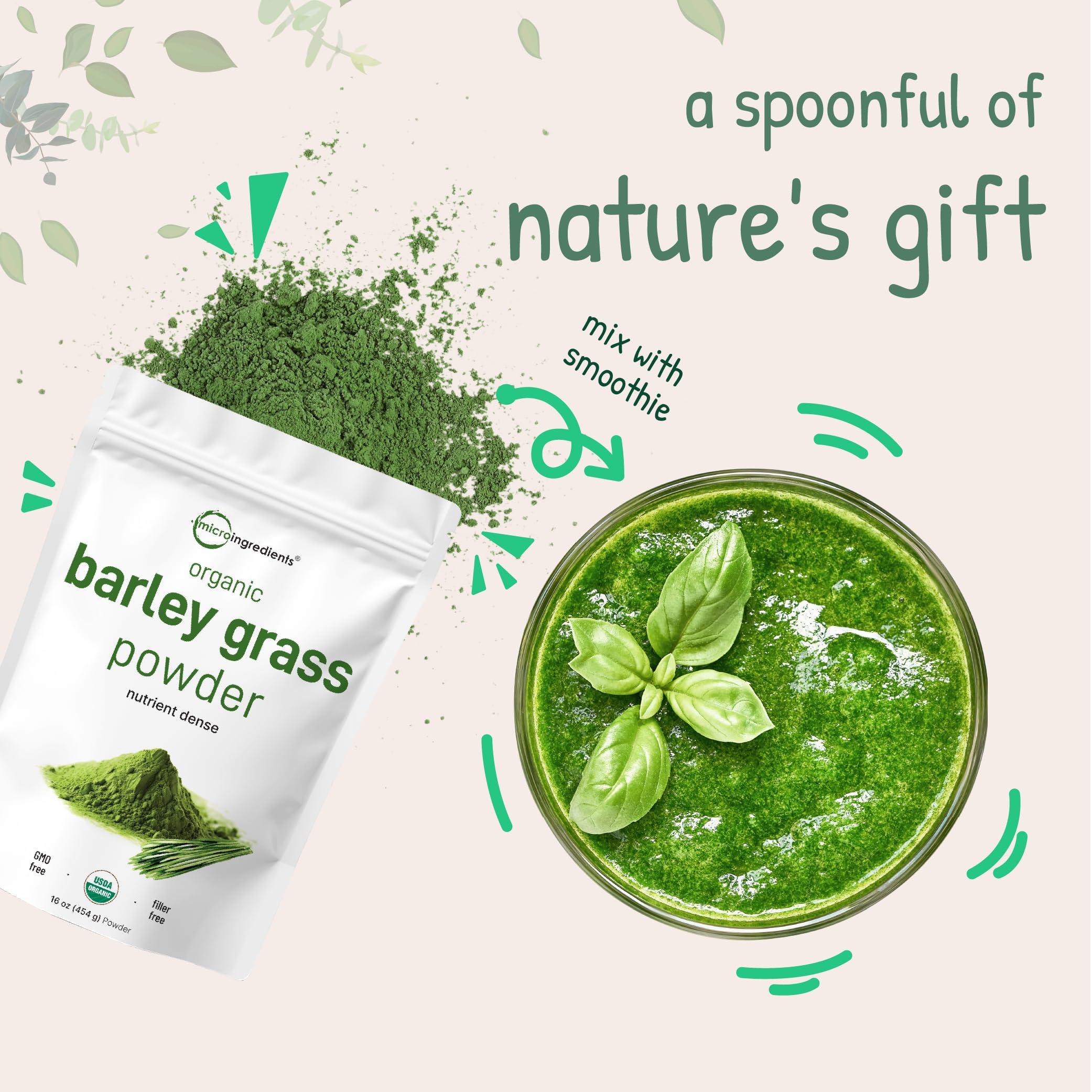 Micro Ingredients Organic Barley Grass Powder, 16 Ounces | US Grown | Rich in Vitamins, Minerals, Fibers, & Antioxidants | Superfood Greens Mix for Immune Health and Digestion Support | Non-GMO