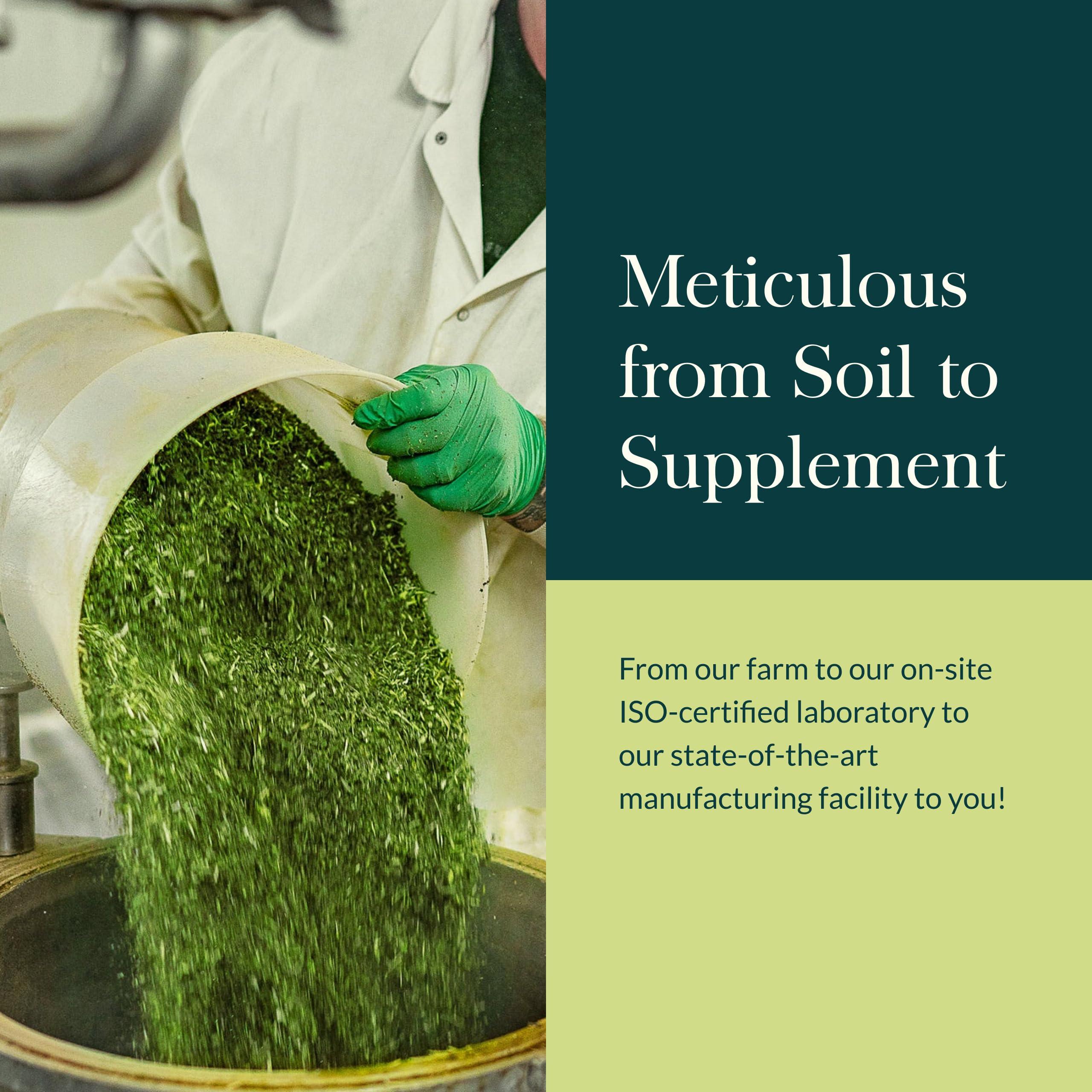 Gaia Herbs Gaia Herbs Gut Revival - Herbal Digestive Supplement to Support Gut Health - Made with Astragalus, Gotu Kola, Jujube & More - Free from Dairy, Soy & Gluten - 60 Vegan Capsules (60 Servings)