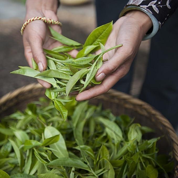 Palais des Ths Palais des Ths - Organic L\'Herboriste N52 - Premium Gourmet Herbal Tea with Anise, Peppermint, and Lemon Balm - 20 Count Biodegradable Cotton Tea Bags Box