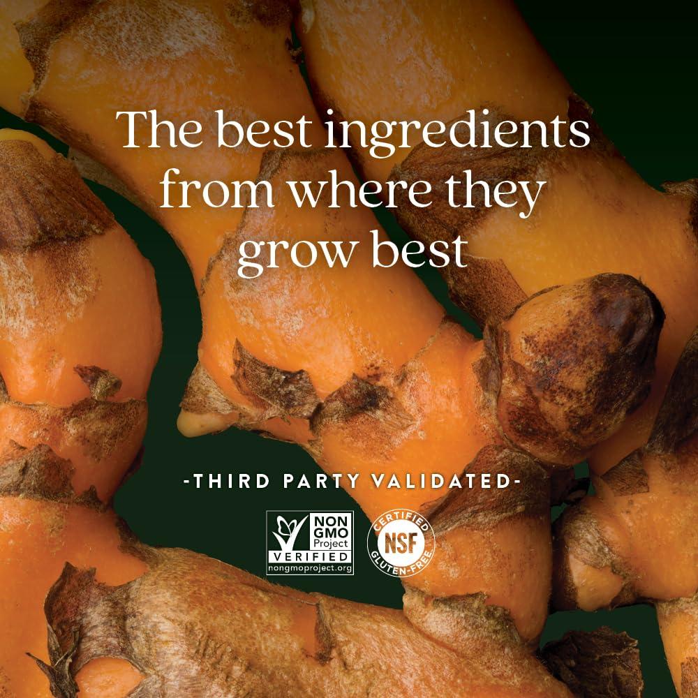 New Chapter New Chapter Turmeric Supplement + Daily Detox Turmeric Force Detox Action with Green Tea + Ginger + NO Black Pepper Needed + NonGMO Ingredients Vegetarian Capsule, 60 Count