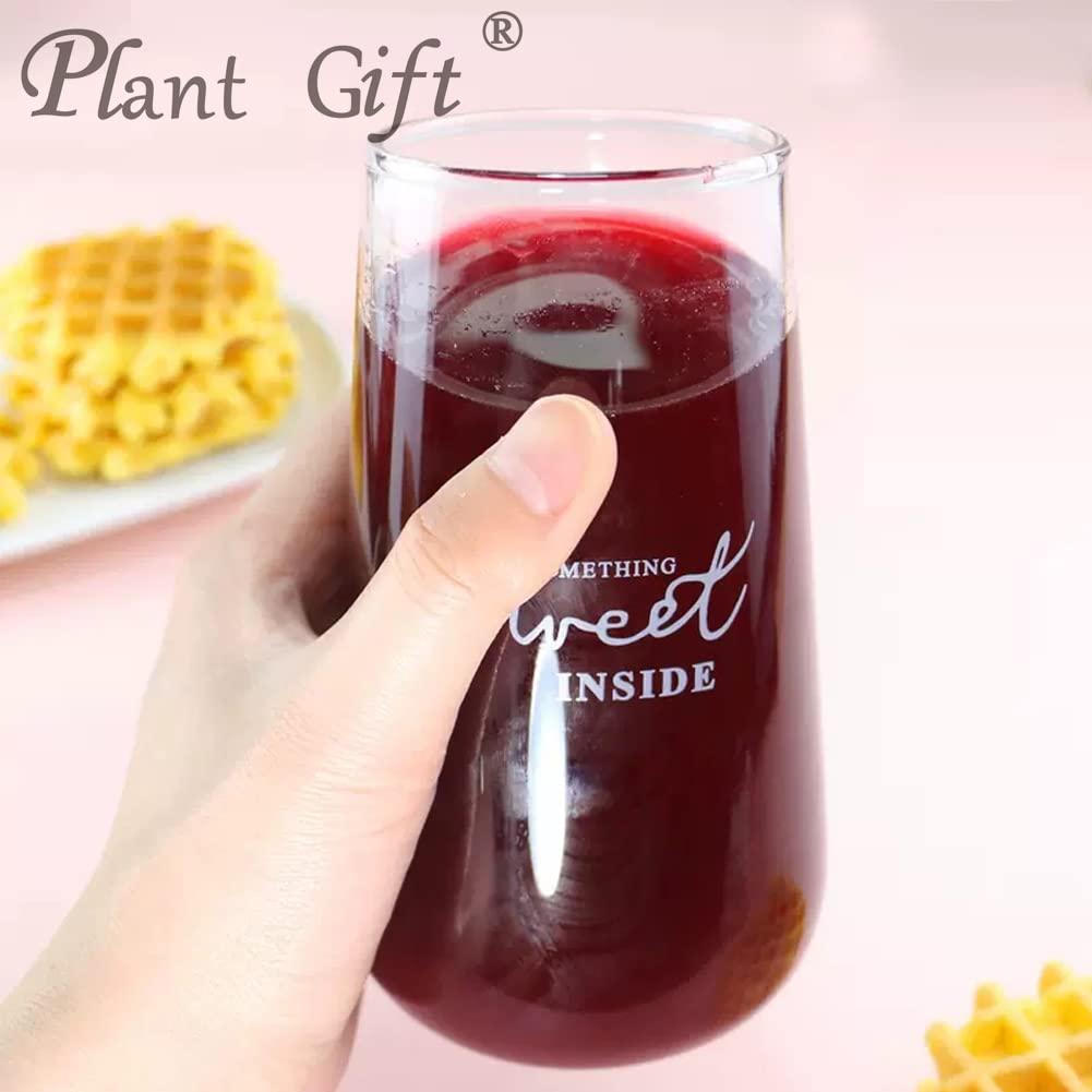 Plant Gift Plant Gift 100% Pure Beetroot Powder 100G/3.25oz Non-GMO Powder, No Filler, No additives, Natural Beetroot Flour,Best Flavor for Smoothie, Drinks, Coffee and Baking, Adds Flavor and Taste