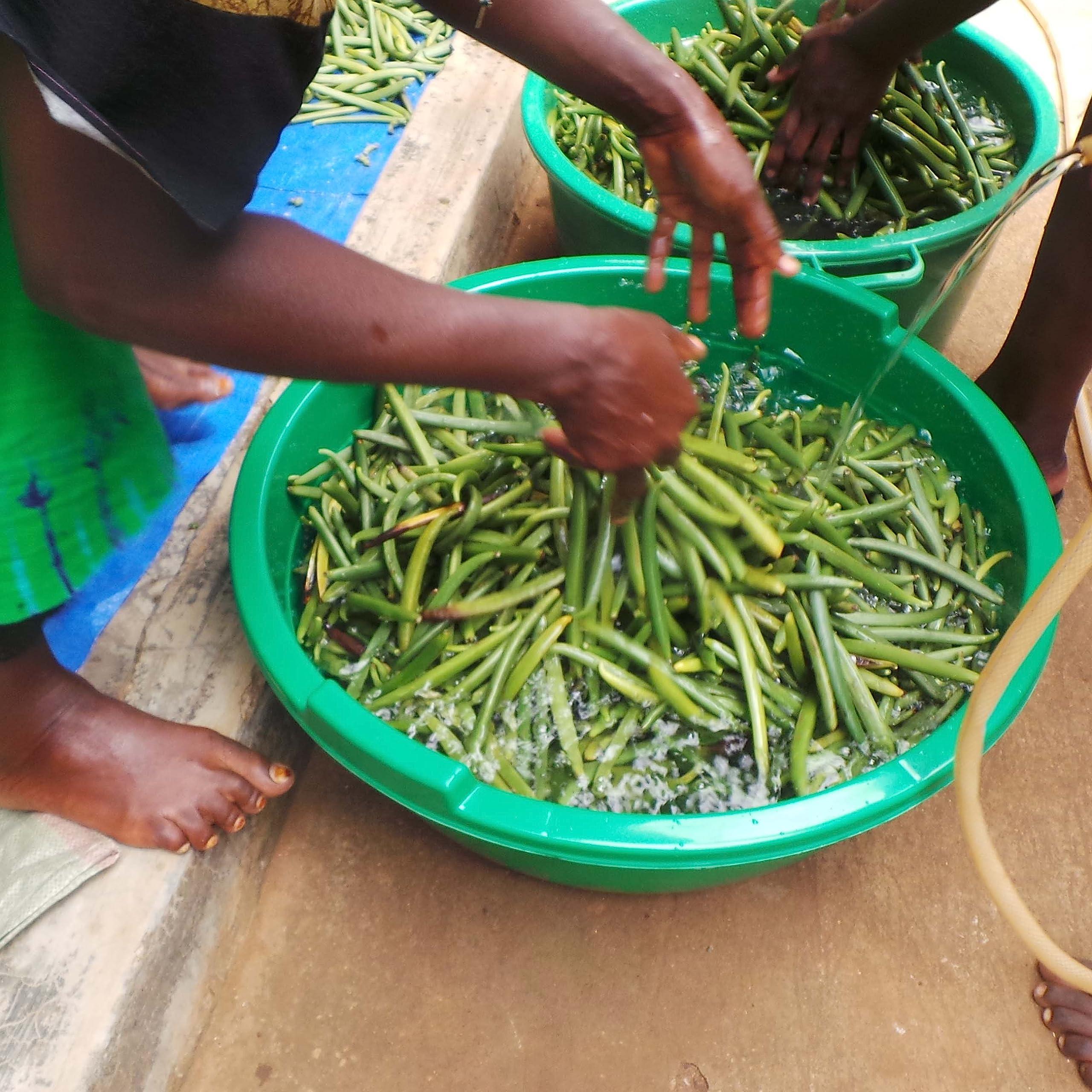 Akshit 5 Lb. Bulk Vanilla Beans Grade A, Whole Vanilla Bean Pods For Restaurants and Home Baking, Natural Vanilla Beans for Making Vanilla Extract