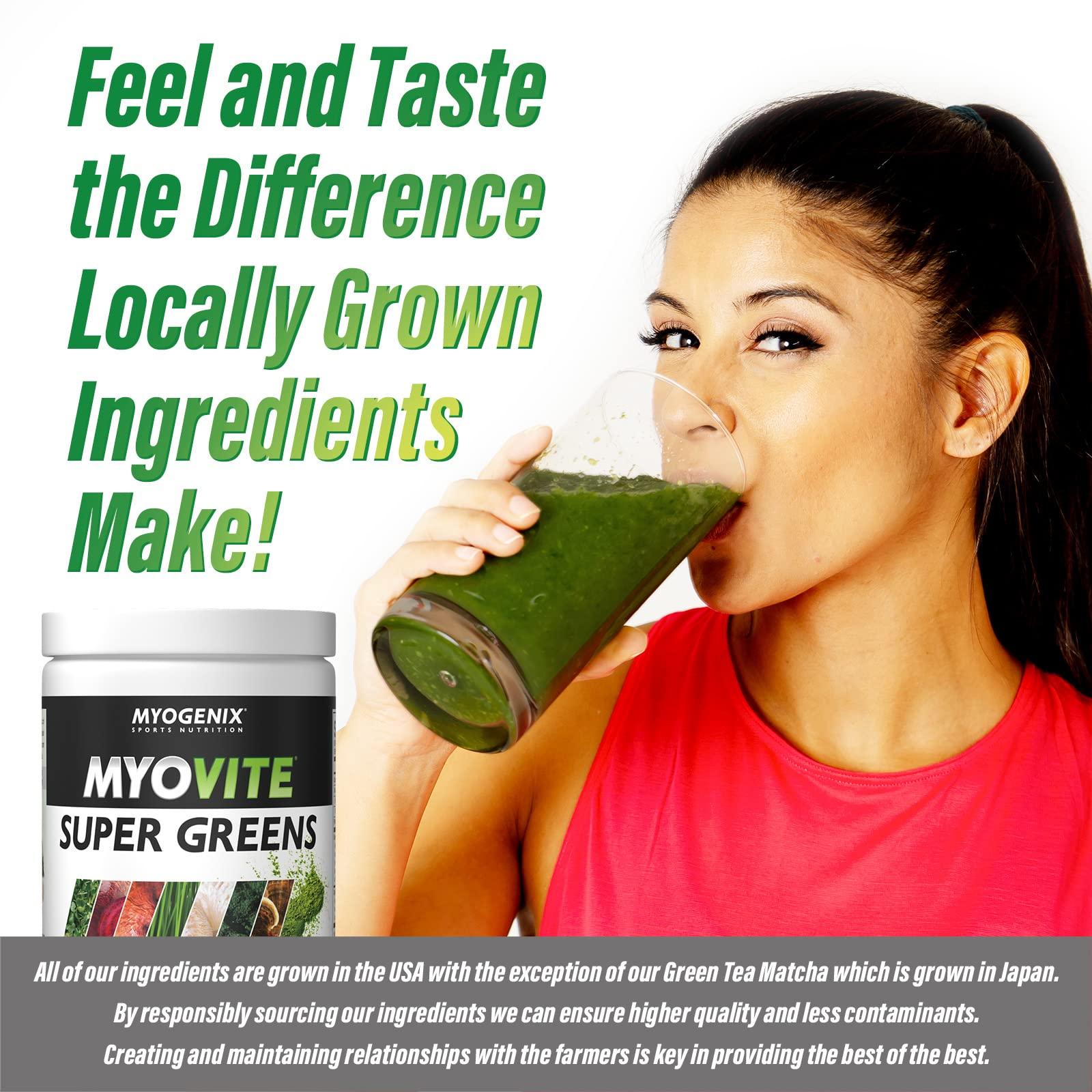 Myogenix Myogenix MyoVite Super Greens Supplement Powder - Super Greens Powder for Men and Women, Daily Vitamin Supplement for Optimum Nutrition, Grown in USA - Organic Supplements, 30 Servings