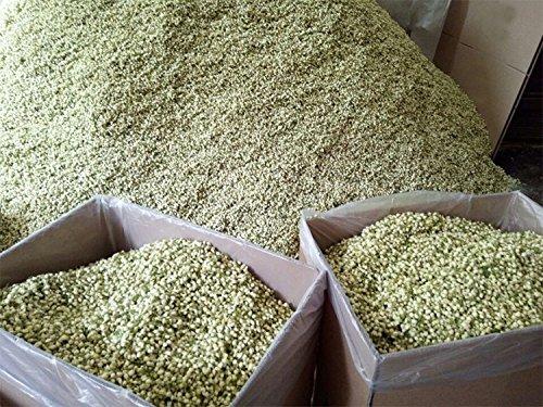 TooGet TooGet Fragrant Natural Pure Jasmine Buds Dried Jasmine Flowers Wholesale, Herbal Tea - 2 OZ