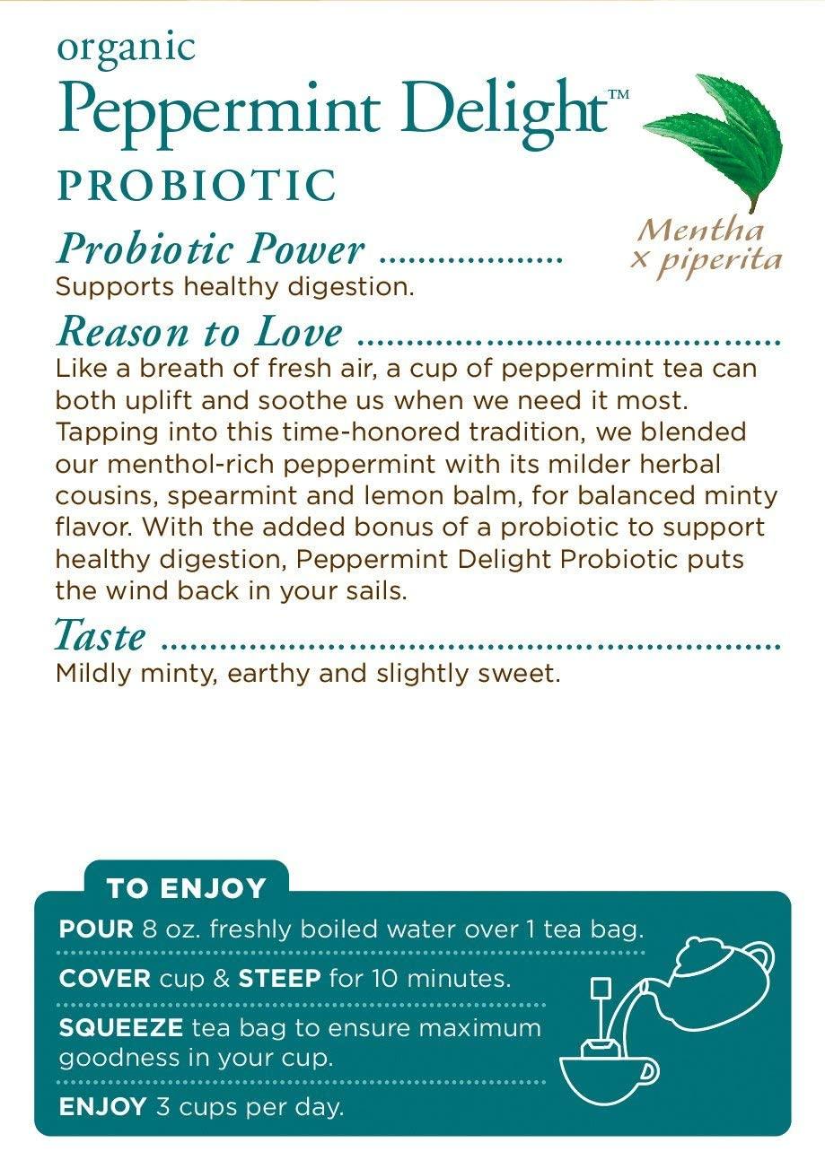 Traditional Medicinals Traditional Medicinals Organic Peppermint Delight Probiotic Tea Supports Healthy Digestion (16 Count (Pack of 6))