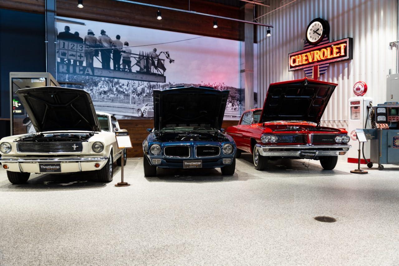 The Original Color Chips The Original Color Chips 1/4\" Decorative Floor Coating Flakes for Epoxy Flooring - Enhances Interior/Exterior Surfaces - for Garages, Basements, Showrooms - Premade Blends (5 Pounds, Cabin Fever)