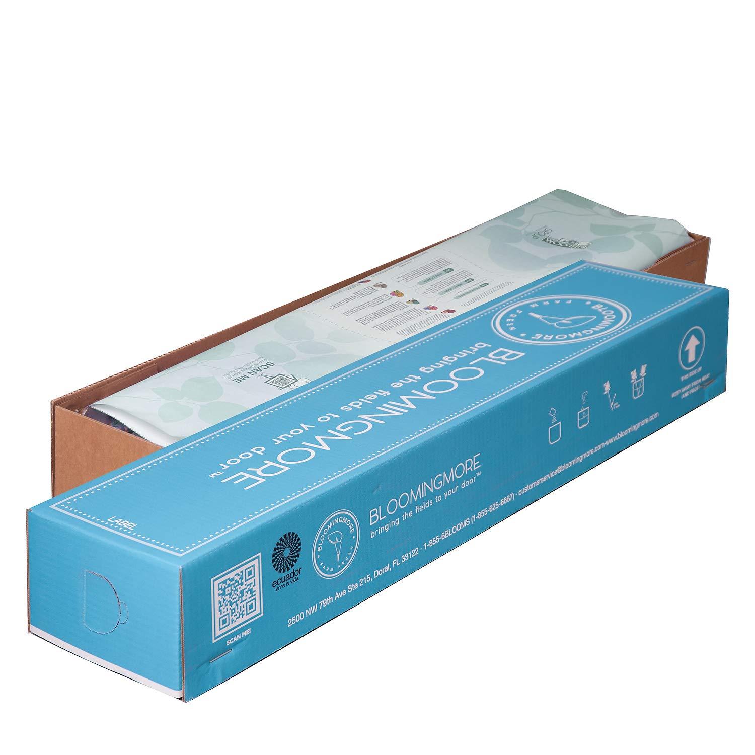 Seattle's Best Coffee Seattle’s Best Coffee K-Cup Pods, Breakfast Blend, Medium Roast Smooth-Roasted Ground Coffee, 10 CT K- Cups/Box (Pack of 1 Box)