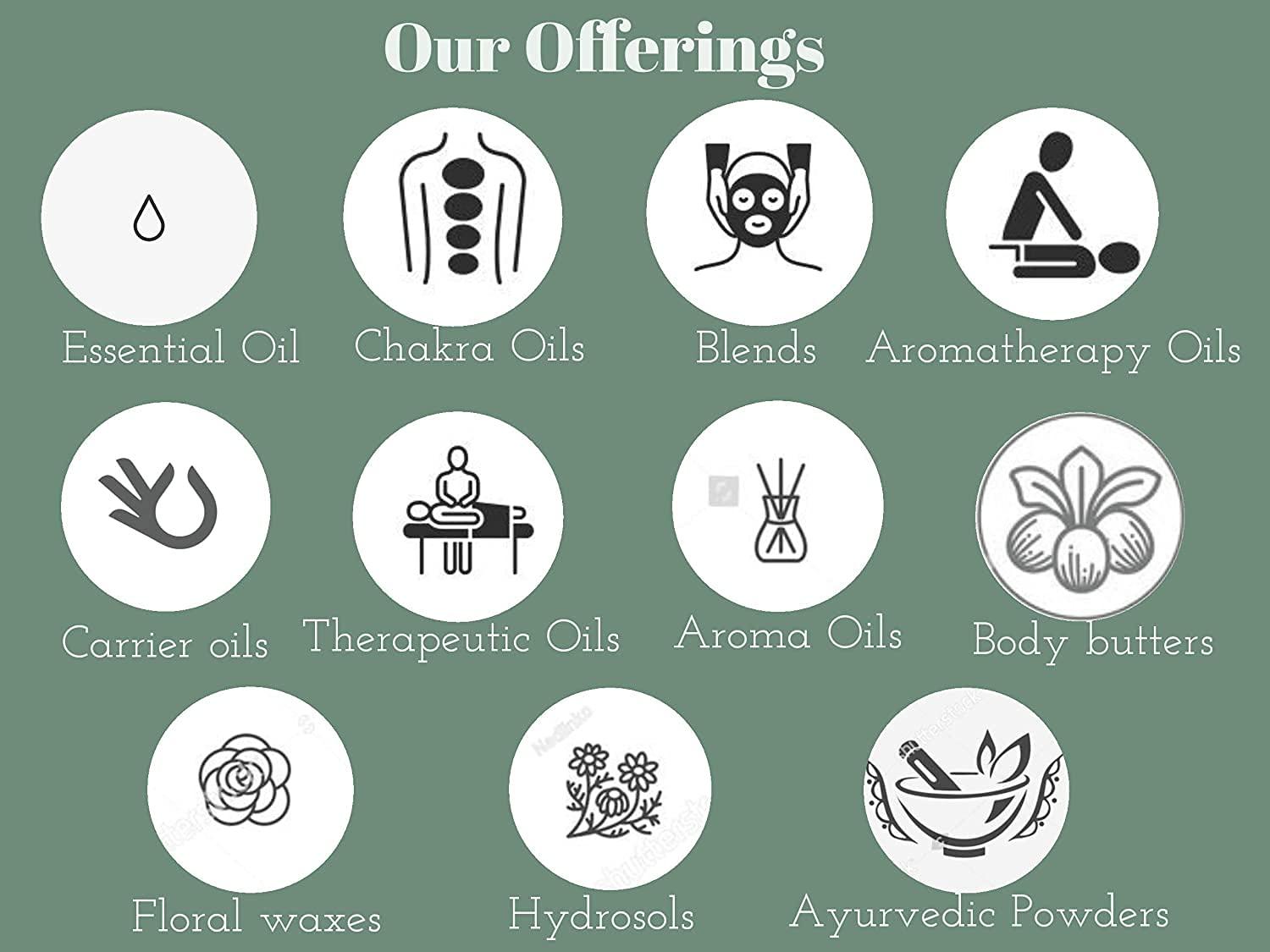 Vital Planet Vital Planet - Vital Flora Women Over 55 Daily Probiotic 60 Billion CFU, 60 Diverse Strains, 7 Organic Prebiotics, Immune Support Shelf Stable Digestive Health Probiotics for Women 60 Capsules