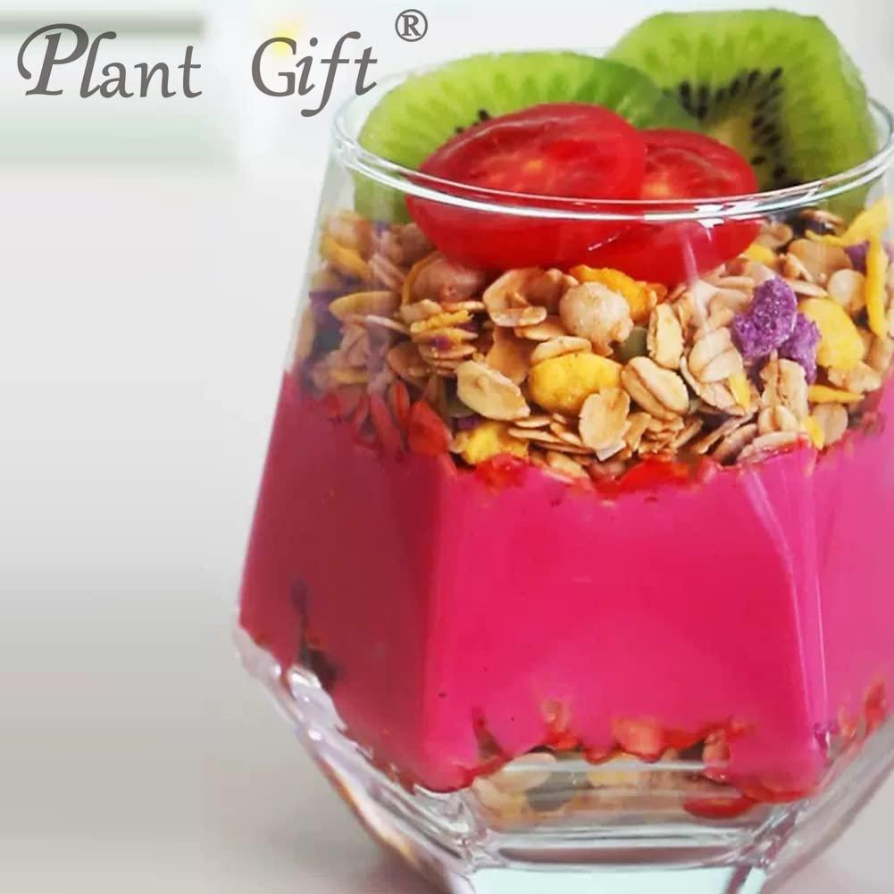 Plant Gift Plant Gift 100% Pure Beetroot Powder 100G/3.25oz Non-GMO Powder, No Filler, No additives, Natural Beetroot Flour,Best Flavor for Smoothie, Drinks, Coffee and Baking, Adds Flavor and Taste