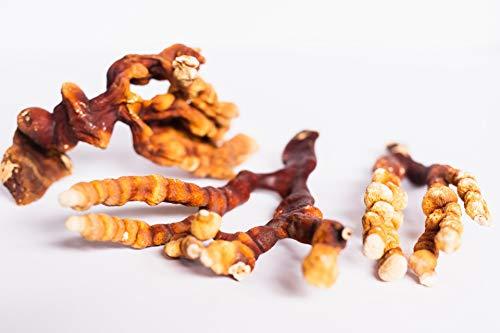 Myriad Mycology Myriad Mycology Reishi Mushroom Powder 16oz or 1lb, Made in USA / Ling Zhi, 456g