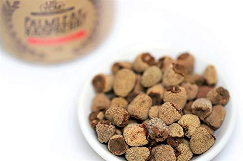 USTCM USTCM Palmleaf Raspberry Fruit Tea Fu Pen Zi Dried Whole Fruit 100% Natural (1.5oz)