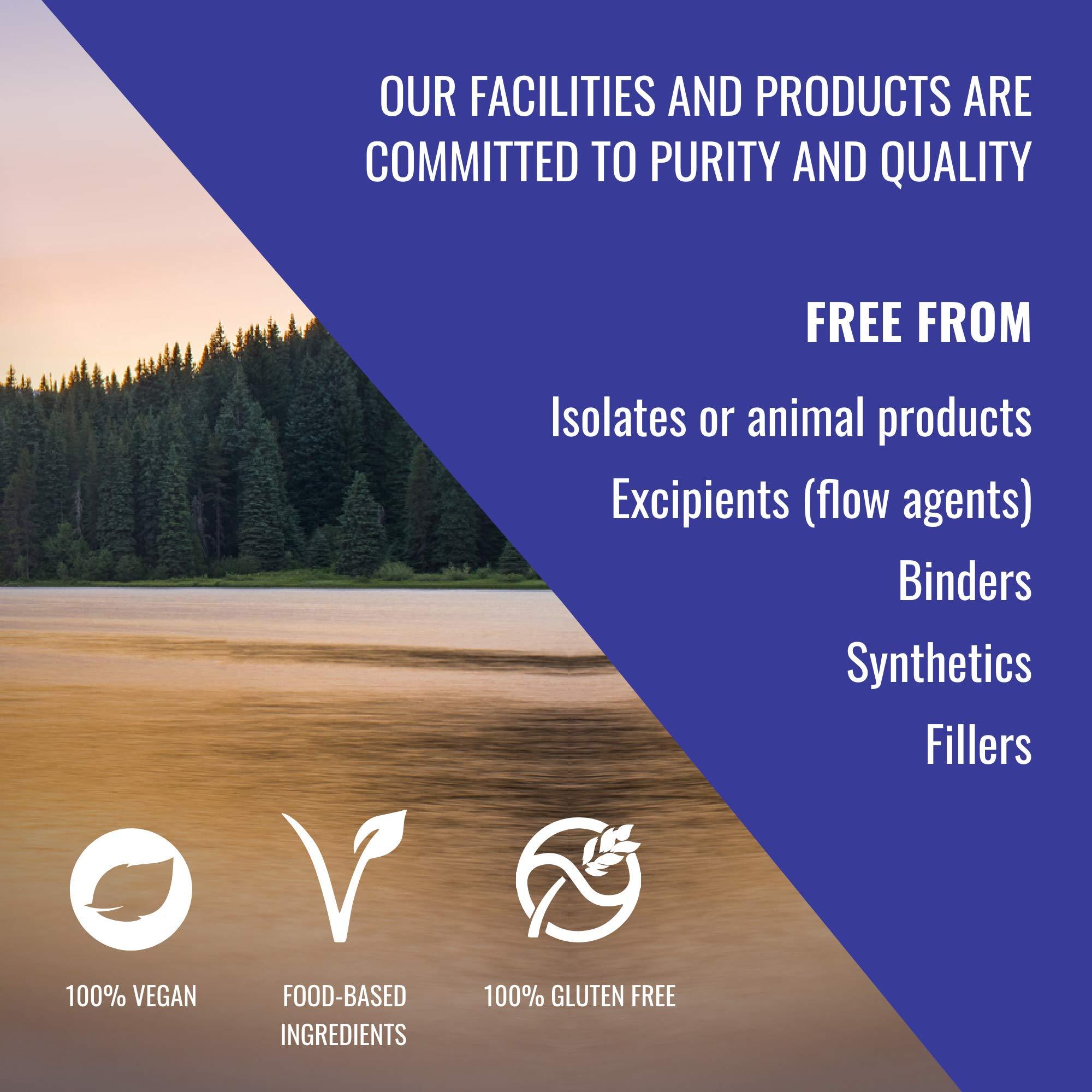 HEALTHFORCE SUPERFOODS Healthforce Superfood Gelatinized Maca - 8 Oz Powder