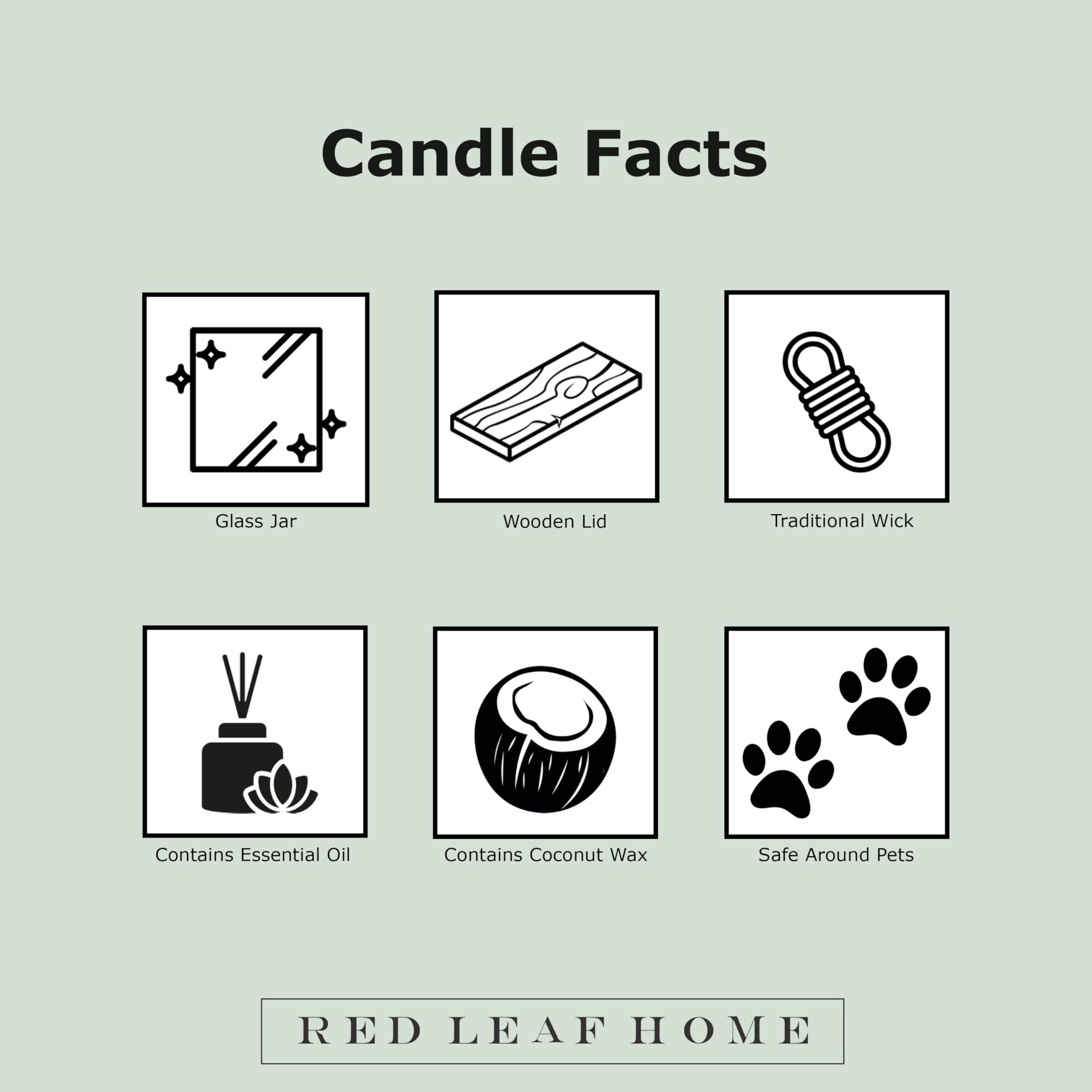 Red Leaf Home Red Leaf Home Turmeric Honey Candle, Large | Honeycomb Collection, Aromatherapy, Gift | 15.5oz Jar