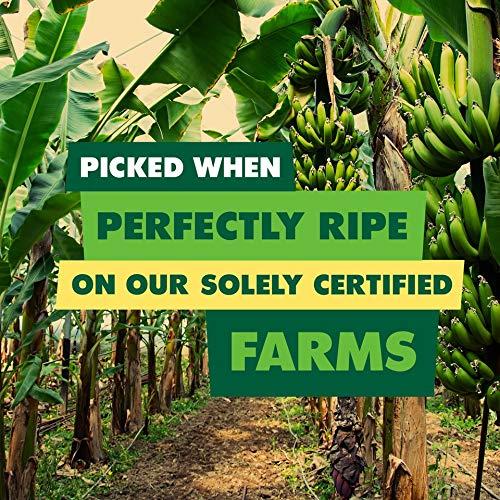 SOLELY SOLELY Organic Dried Pineapple Rings, Large (Pack of 1) | One Ingredient | Vegan | Non-GMO | No Added Sugar