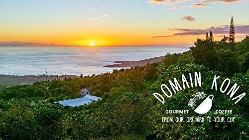 Domain Kona Gourmet Coffee 100% Kona Coffee – Whole Bean, Dark roast, Single estate gourmet coffee, 16 ounces, Ships direct from Domain Kona, farm fresh