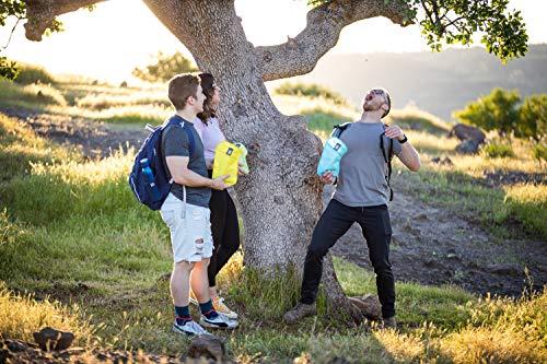 ChicoBag ChicoBag Snack Time rePETe Reusable Sandwich Bags w/Secure Hook & Loop | Perfect for Sandwiches & Snacks | Eco-Conscious Baggies | Easy to Clean | Lemon Pattern (Pack of 3)