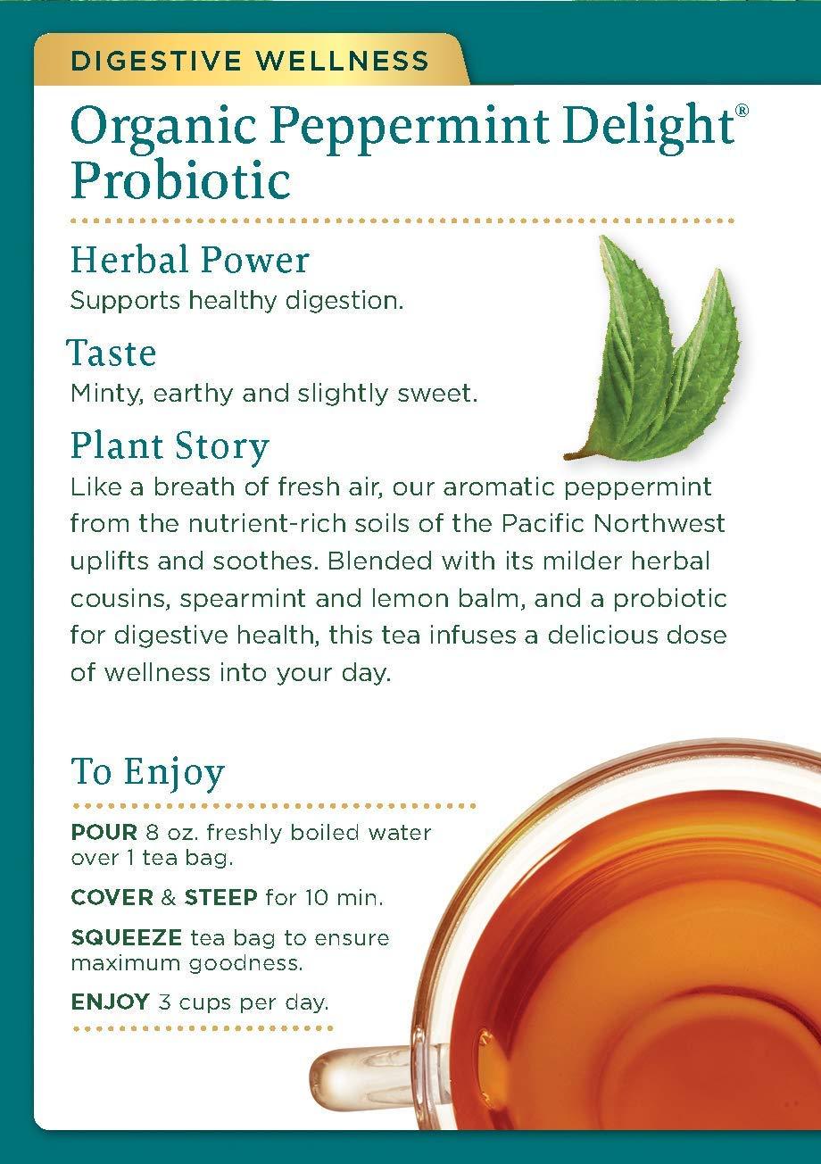 Traditional Medicinals Traditional Medicinals Organic Peppermint Delight Probiotic Tea Supports Healthy Digestion (16 Count (Pack of 6))