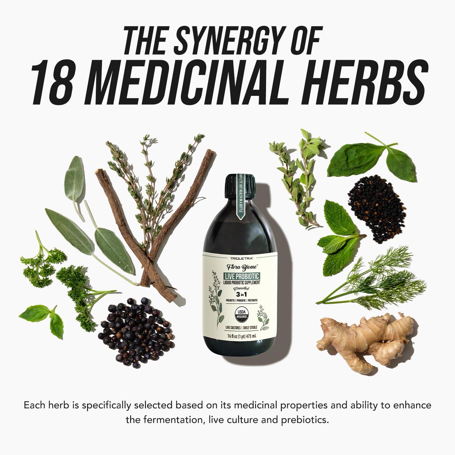 Triquetra Health Flora Biome - Live Probiotic, Prebiotic, & Postbiotic Organic Live-Culture 10 Probiotic Strains, 18 Fermented Herbs - Complete Gut Health & Microbiome Optimizer (16 oz)