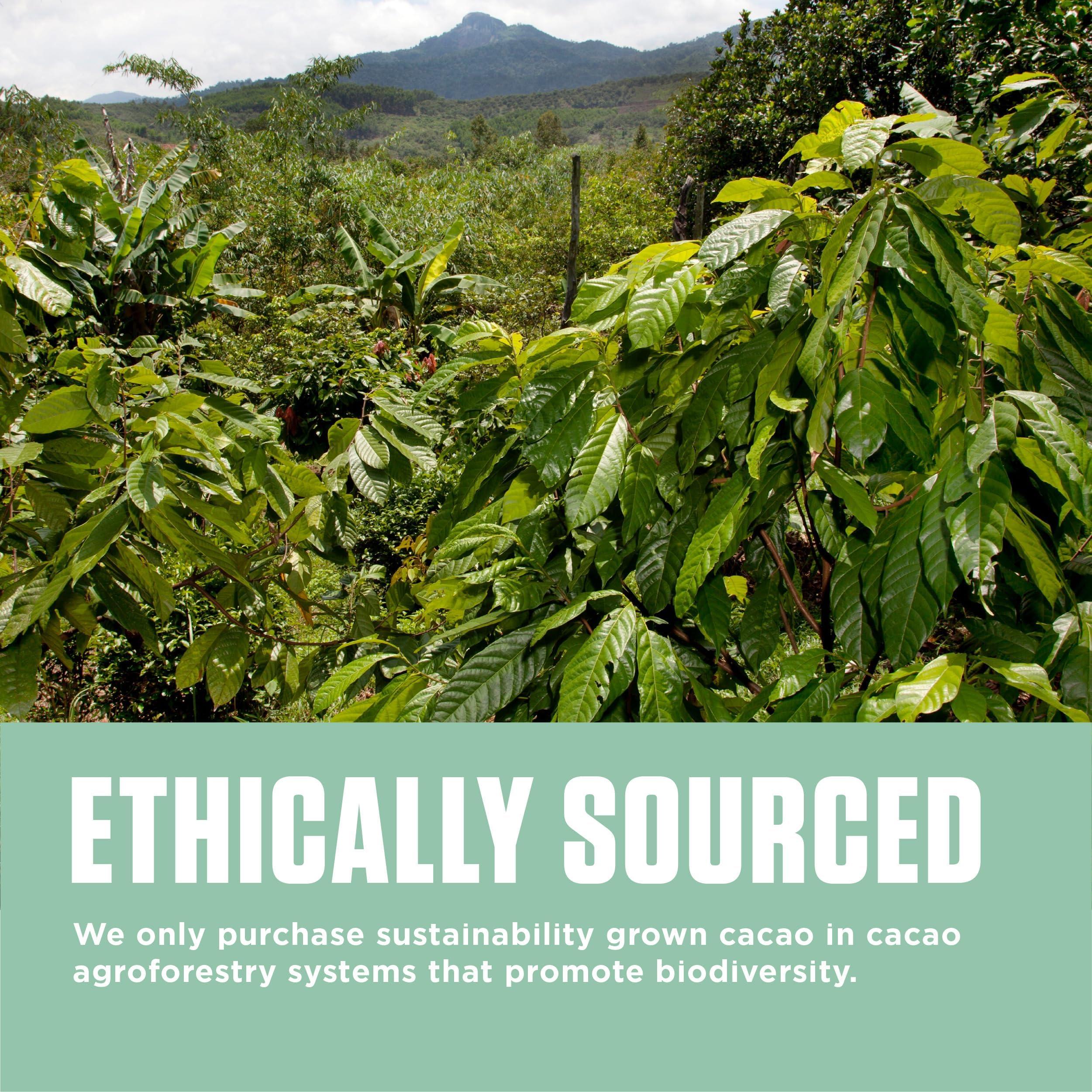 Marou Marou Cacao Powder Tin, 250g