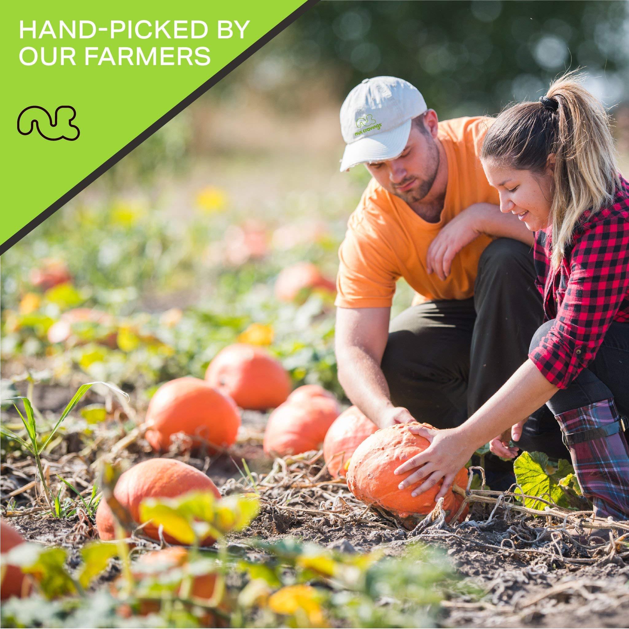 Nut Cravings NUT CRAVINGS - Roasted & Salted Pumpkin Seeds, Pepitas, No Shell (32oz - 2 LB) Packed Fresh in Resealable Bag - Nut Snack - Healthy Protein Food, All Natural, Keto Friendly, Vegan, Kosher