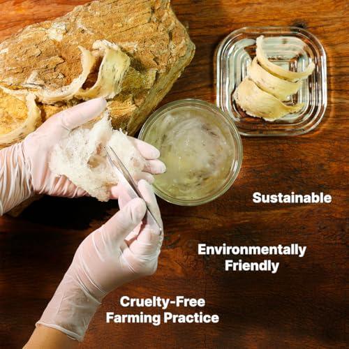 Golden Nest Gift Pack Premium Bird’s Nest Soup - 6 bottles x 75ml (2.5 oz.) (Sugar-Free)