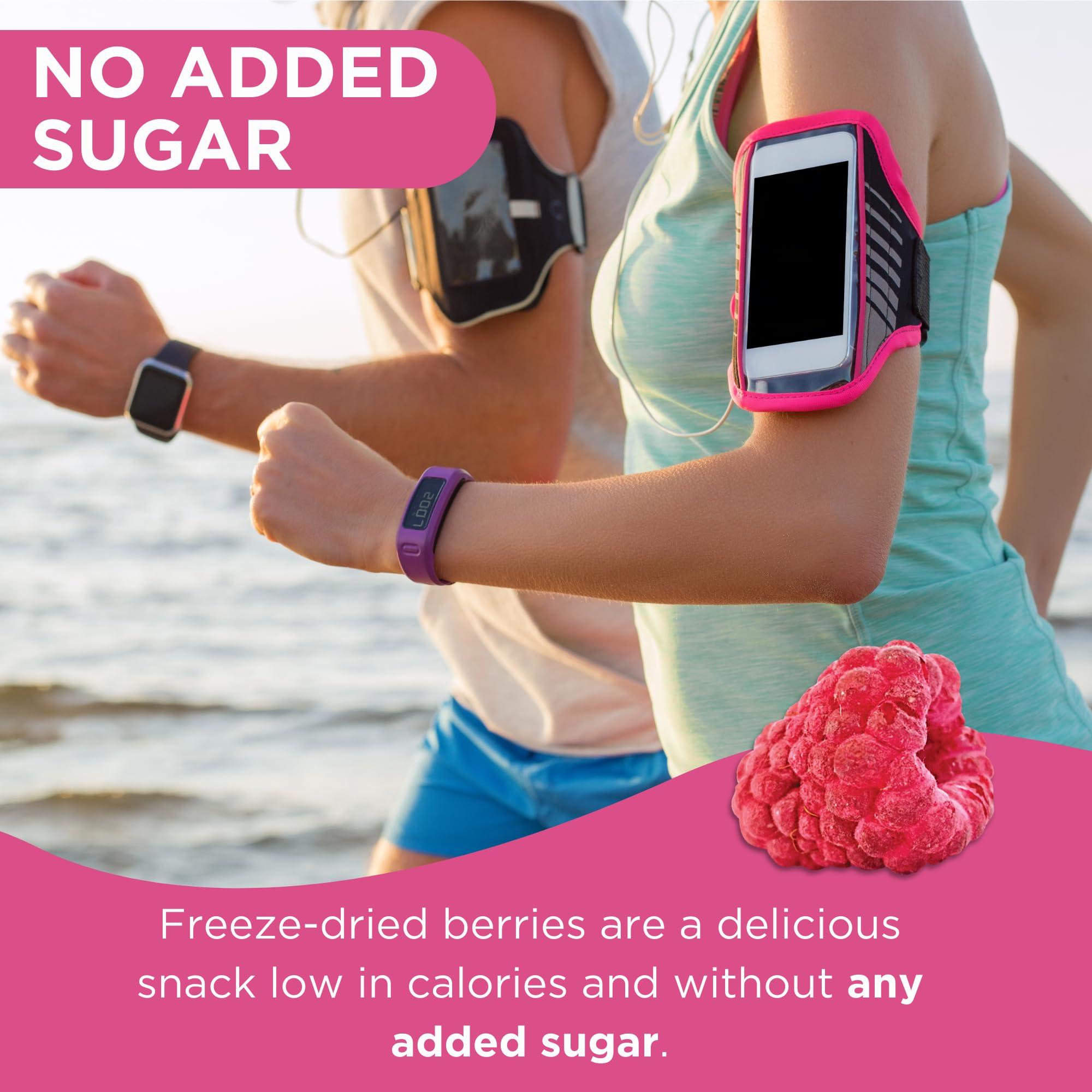 SUMMMER Freeze Dried Fruit Mix - 12 Dried Fruit Snacks Individual Packs Strawberry, Raspberry, Pineapple, Mango, Banana, Blueberry, Apple - No Added Sugar, 100% Natural Freeze Dried Snacks