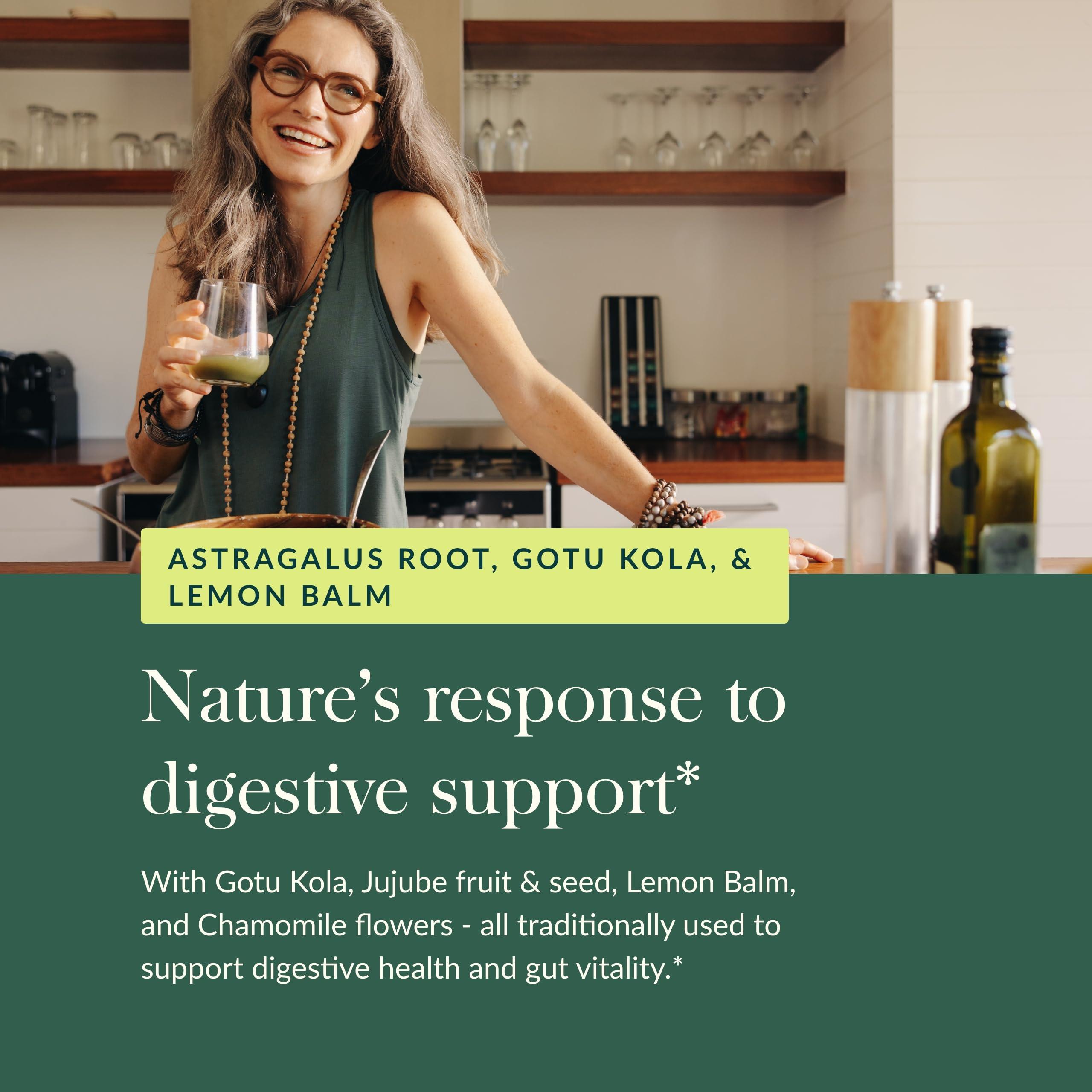 Gaia Herbs Gaia Herbs Gut Revival - Herbal Digestive Supplement to Support Gut Health - Made with Astragalus, Gotu Kola, Jujube & More - Free from Dairy, Soy & Gluten - 60 Vegan Capsules (60 Servings)