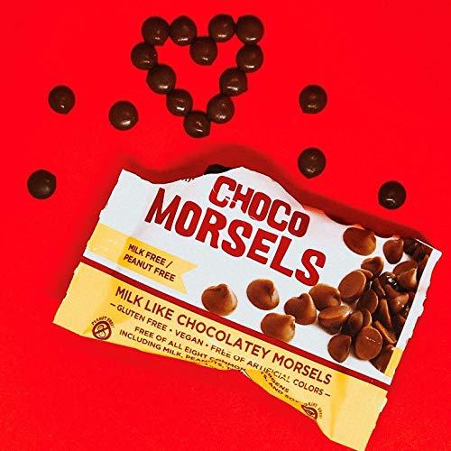 No Whey! Foods Vegan, Gluten Free, Nut Free | Chocolate Chip Snack Packs (3 Pack) | Dairy Free, Soy Free, Sesame Free | Allergy Friendly Snacks | No Whey Foods