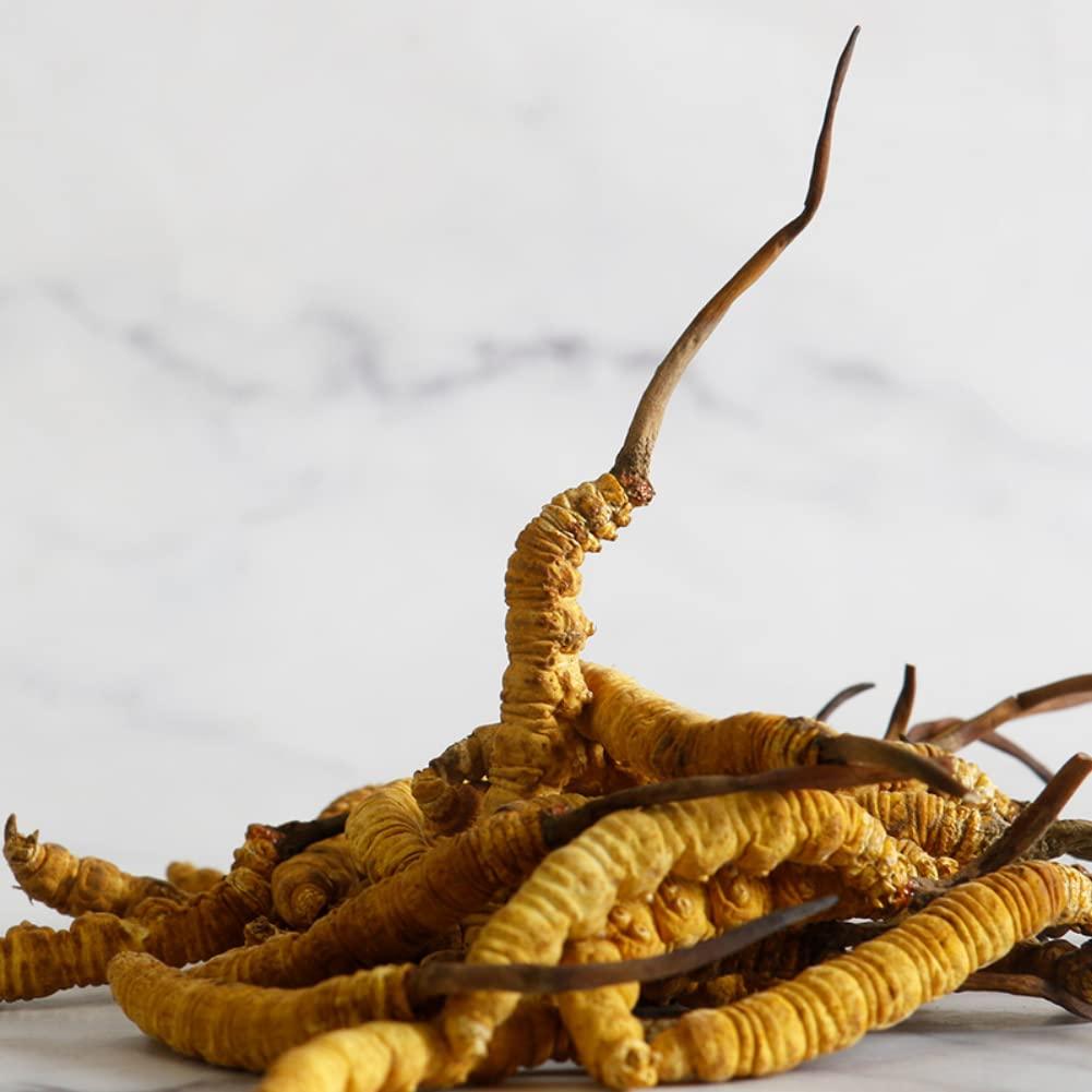 Generic 10 Grams Cordyceps Sinensis Chinese Caterpillar Fungus(Dong Chong Xia Cao),Wild Cordyceps,100% Wild Himalayan Cordyceps Sinensis.