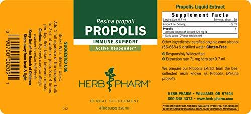 Herb Pharm Herb Pharm Propolis Liquid Extract for Immune System Support - 4 Ounce