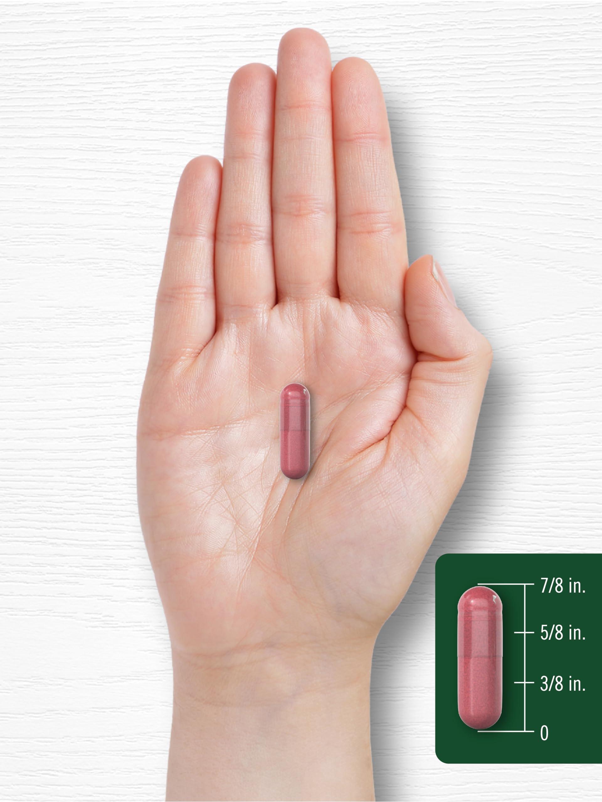 Carlyle Carlyle Beet Root Capsules | 8000 mg | 120 Count | Non-GMO and Gluten Free Supplement