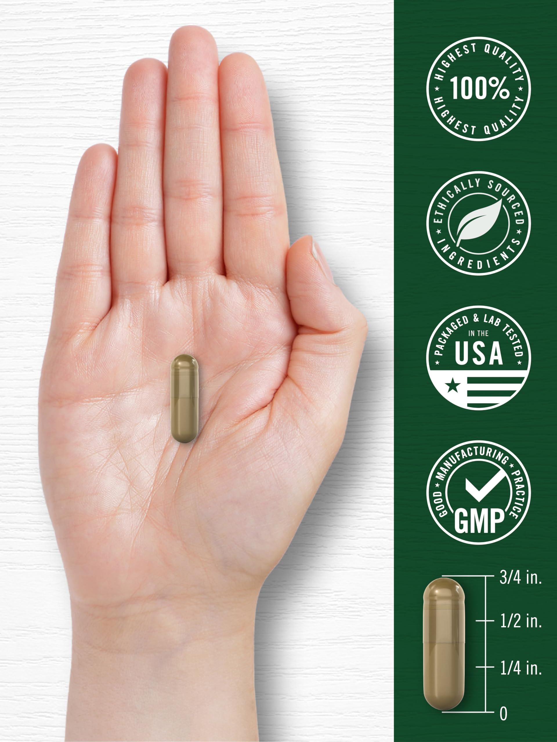 Carlyle Carlyle Wormwood Capsules 430mg | Artemisia Annua Herb | 200 Count | Non-GMO & Gluten Free Supplement