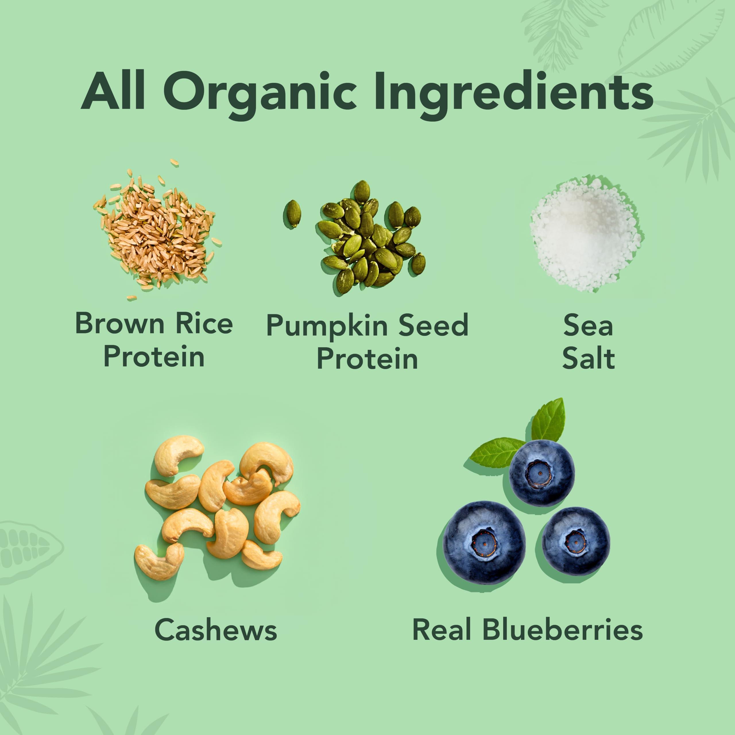 ALOHA ALOHA Organic Plant Based Protein Bars - Blueberry Bars, Vegan, Low Sugar, Gluten-Free, Low Carb, Non-GMO, No Stevia, No Erythritol - 12 Count (Pack of 1)