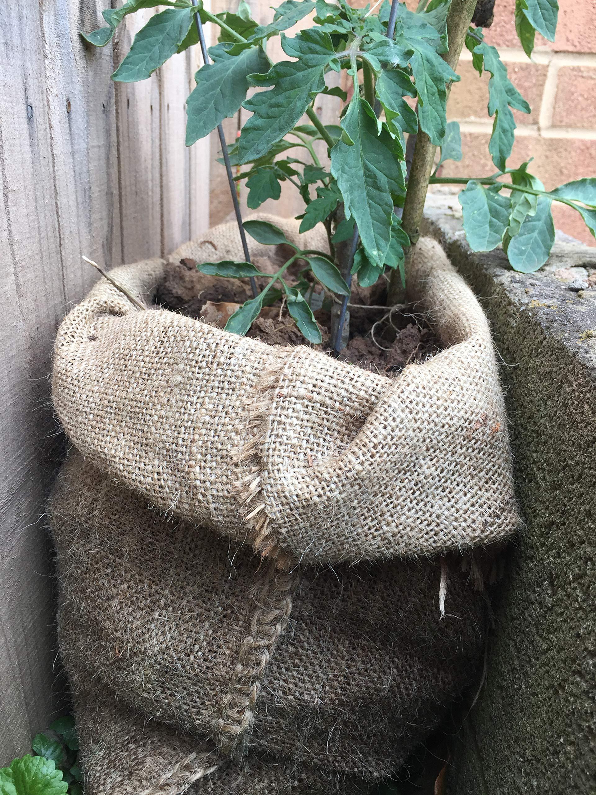 Jutemill 12 Pack Premium Large Burlap sack Bags | 24 x 40 inch New Coffee Bag | Potato Bag | Sack Race | Seed Preserve Sack | Natural Jute gunny-sacks made by 10 Ounce Burlap Fabric tight weaved