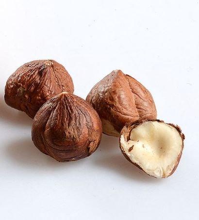 SaaQin Hazelnut Oil - 100% Pure and Organic 16 Oz - Also known as cobnut or filbert nut oil - Great oil for oily skin