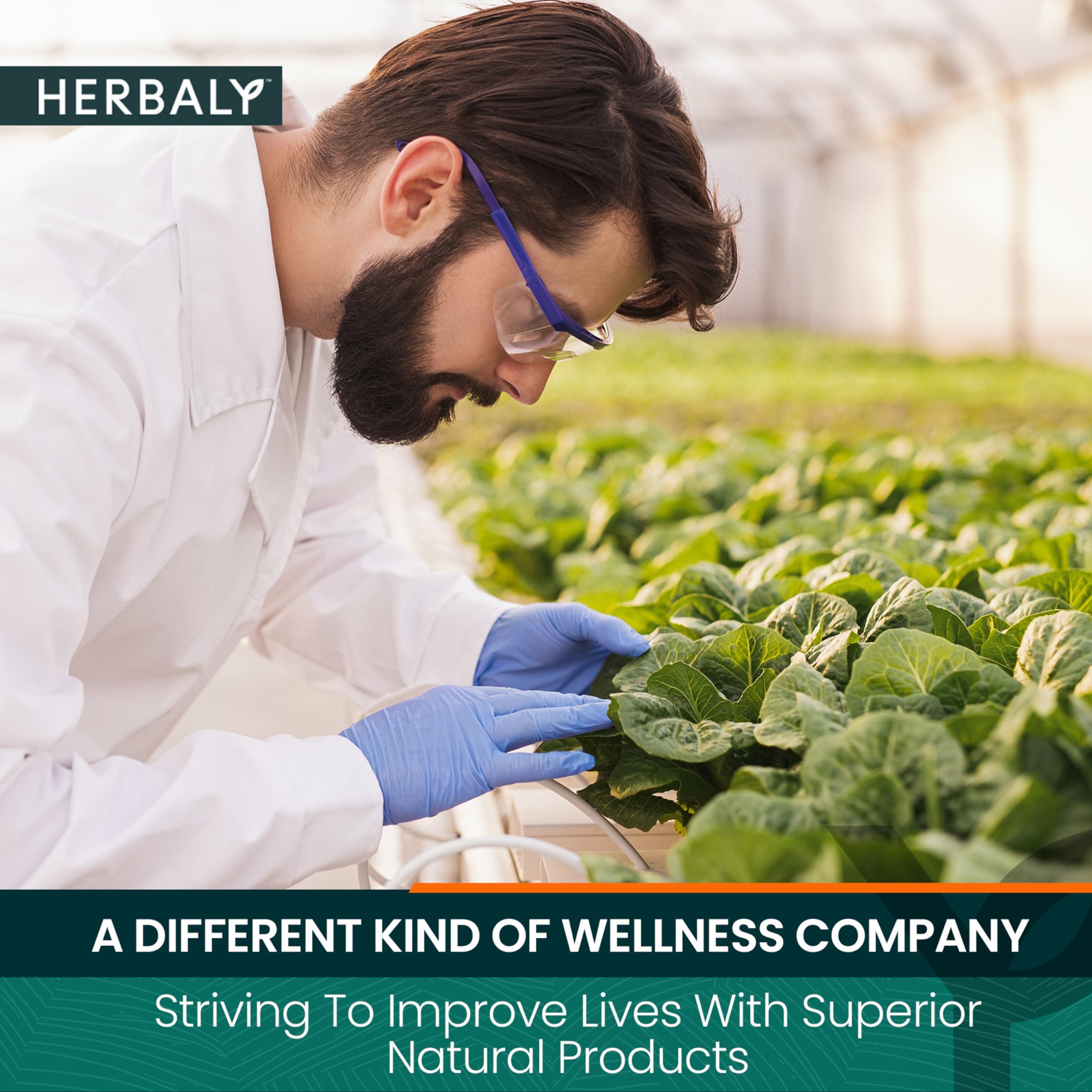 Herbaly Wellness Collection Herbaly Heart Functional Tea - 9 Superherbs - Natural, Organic, Non-GMO, Caffeine-Free, Sugar Free - 1 Pack, 30 Pyramid Tea Bags