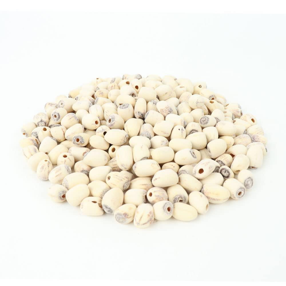 PALPLUS Organic Natural Pure Lotus Seed Dried Bulk Herbs (10.58 Ounce (300gram))