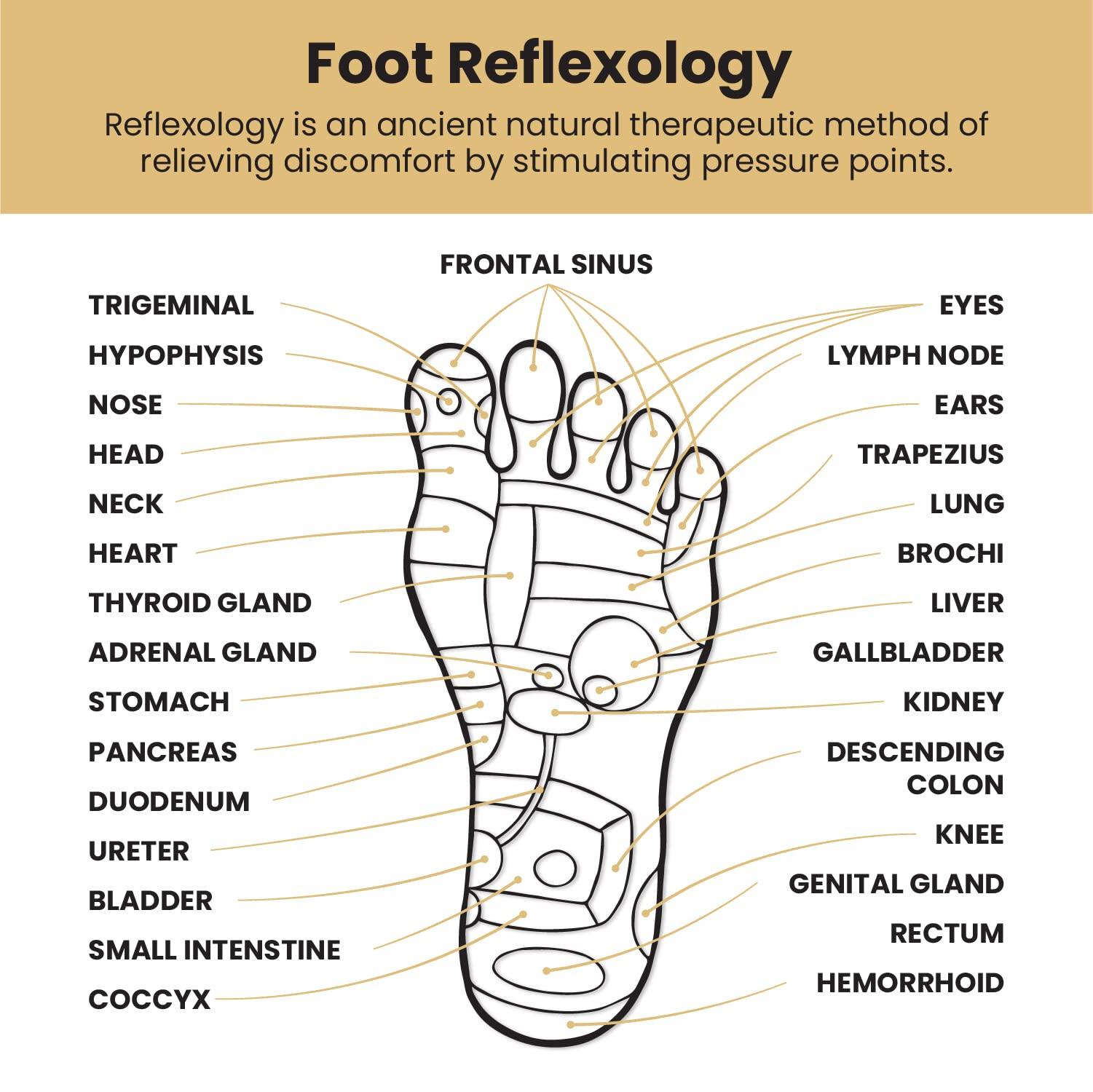 Lindo Lindo EcoPro Natural Wood Foot Massager - Reflexology Therapy, Targets Pressure Points, Foot Pain Relief, Acupressure Massage, Rejuvenating, Relieving, Relaxing, Eco-Friendly