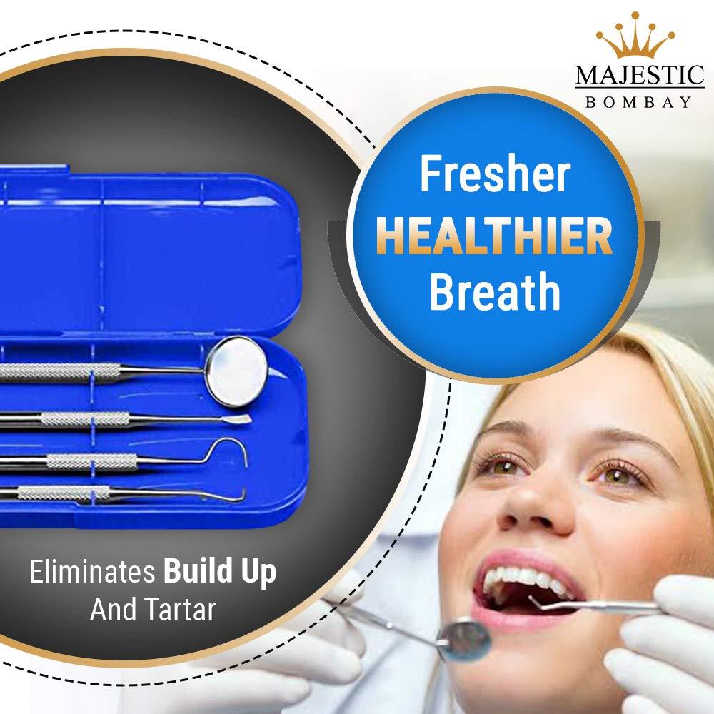 Majestic Bombay Dental Hygiene Tool Set - Stainless Steel Dental Tooth Pick, Mouth Mirror,Tarter Scraper and Plaque Remover - Dental Tool Kit is Ideal for Cleaning Use & Pet Friendly-Free Protective Case