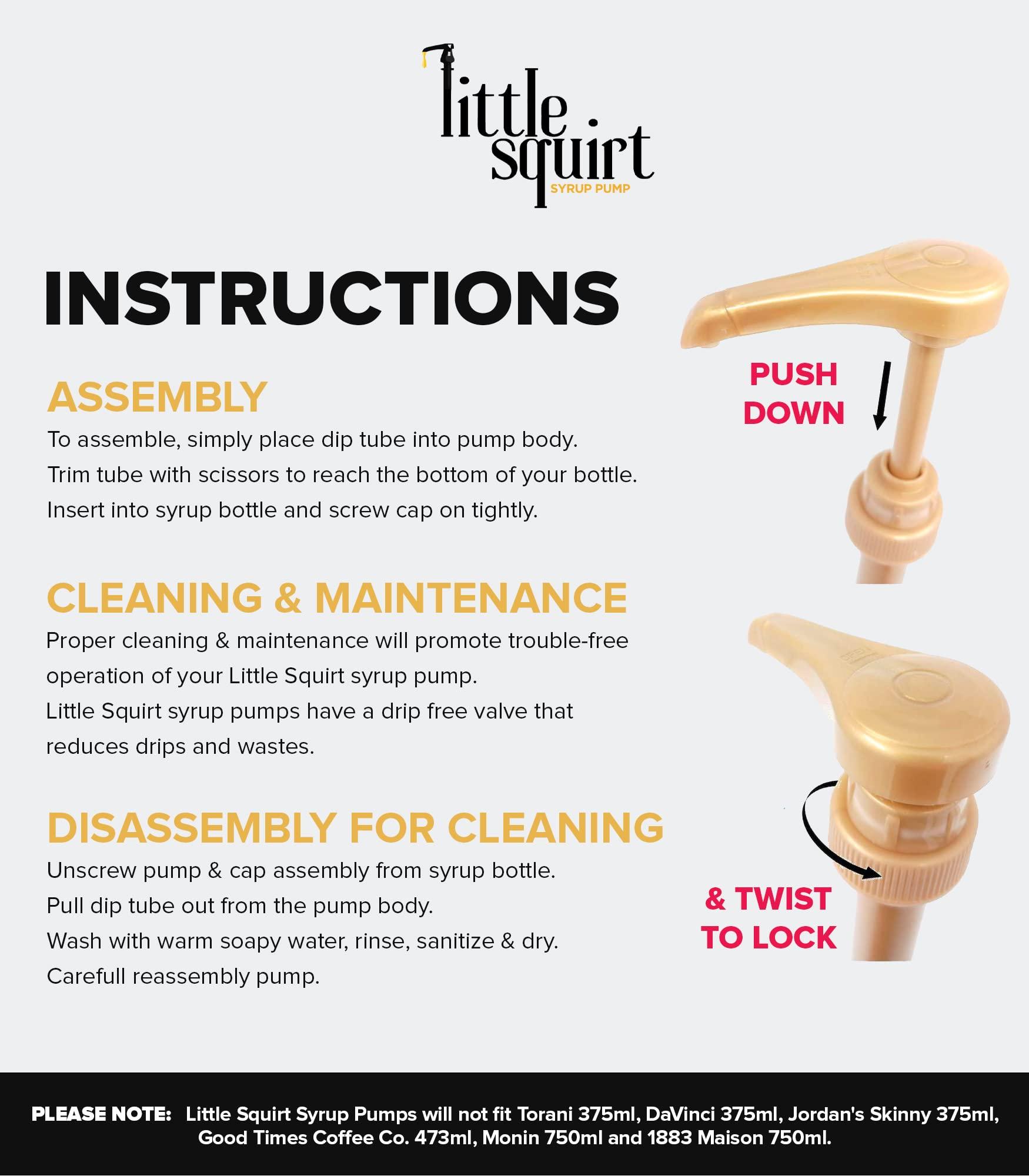 little squirt syrup pump Torani Sugar Free French Vanilla Syrup with Little Squirt Syrup Pump, 750ml 25.4 Ounces