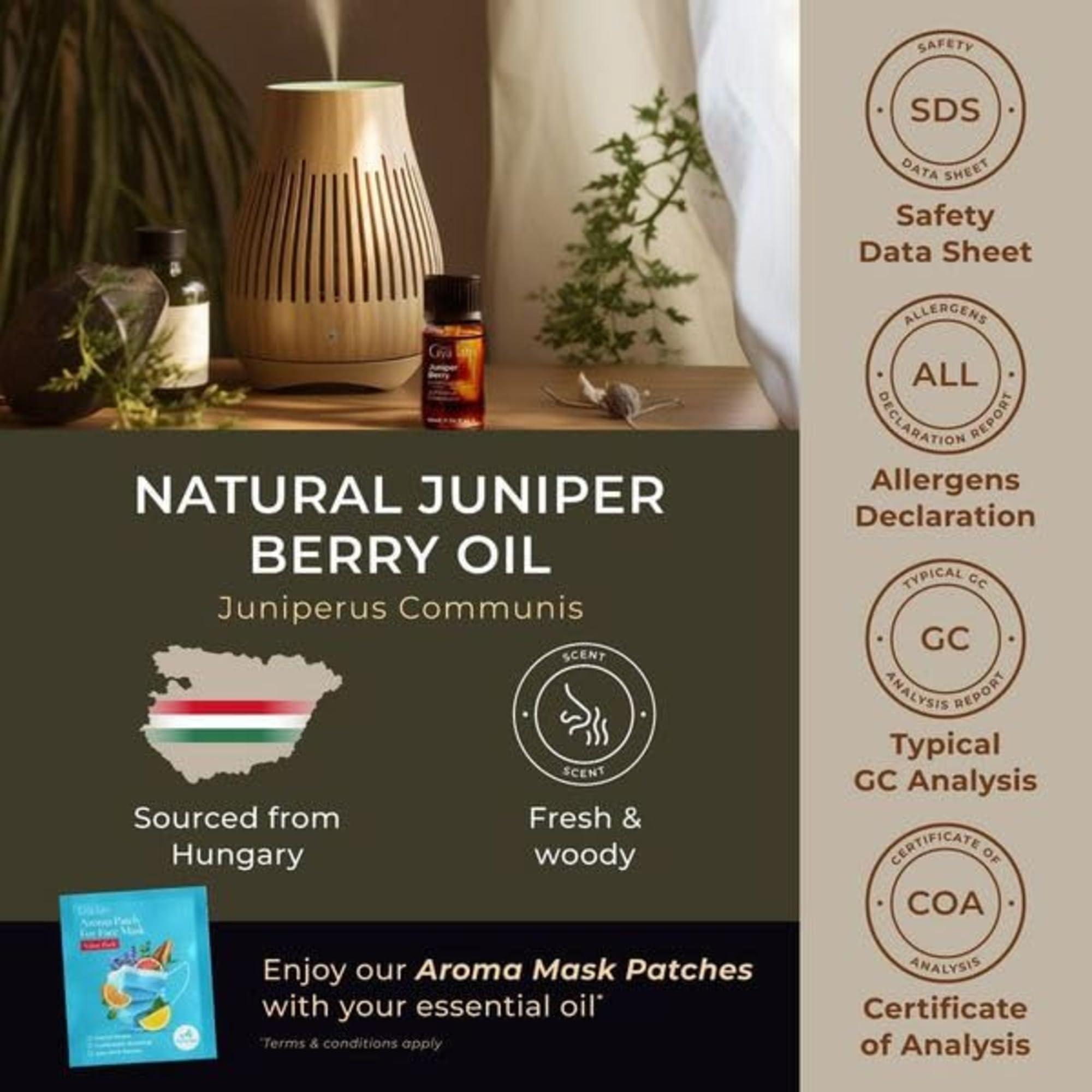 P.G Dawn Platinum Powerwash Dish Spray Fresh Scent Refill - Multi 3 Pack