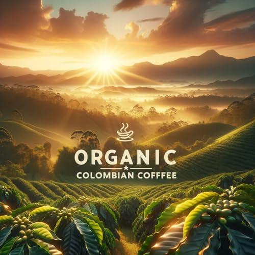 Mitalena Gourmet Coffee Mitalena Dark Roast Low Acid Coffee Pods, Organic French Roast, Small Batch Artisan Coffee, Compatible with Keurig K Cup Coffee Maker, 96 K Cups for Great Value