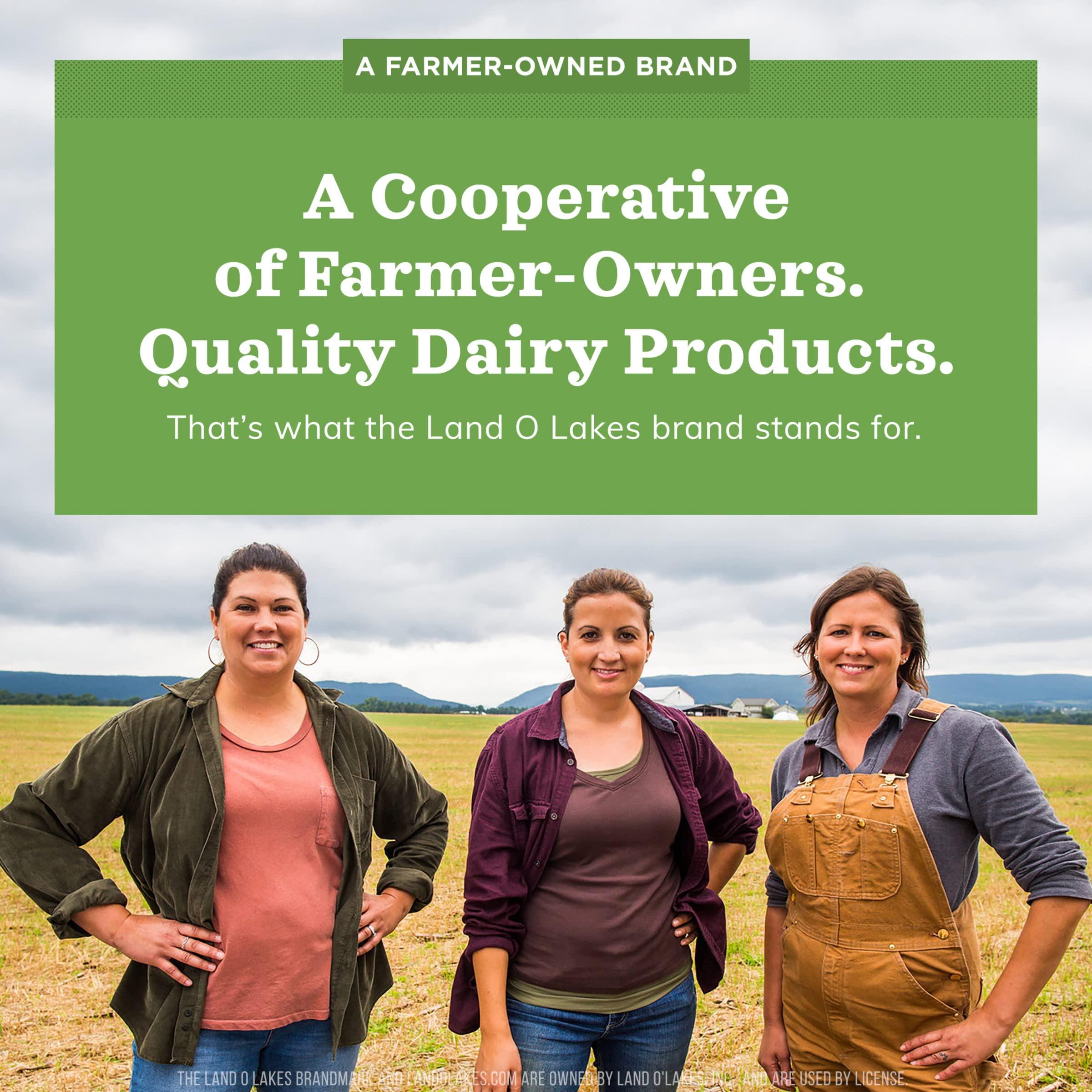 Land O Lakes Land O Lakes Mini Moo’s Half & Half Creamer Singles, Shelf-Stable, 192 Count