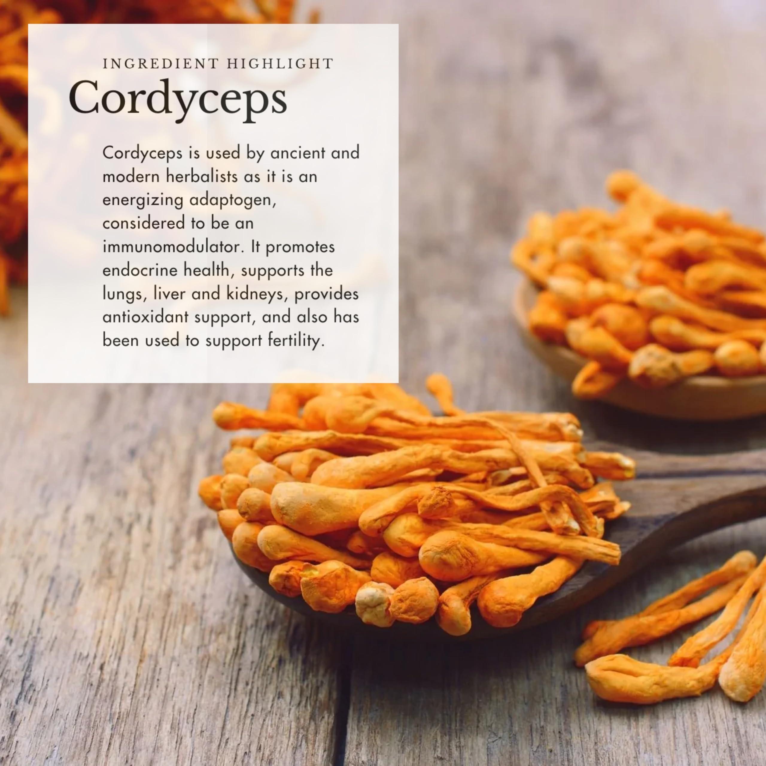 Anima Mundi Apothecary Anima Mundi Adaptogenic 7 Mushroom Drops - Adaptogenic Blend with Organic Mushroom Extracts - Liquid Immune Support Tincture with Reishi, Lion\'s Mane, Cordyceps & Chaga Mushroom Liquid Extract (2oz)